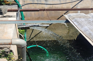 INVT SP100 Inversor Solar para Bombeo de Agua Garantiza el Suministro Continuo de Agua con Función Híbrida EB en India